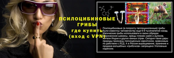 мяу мяу мука Заводоуковск
