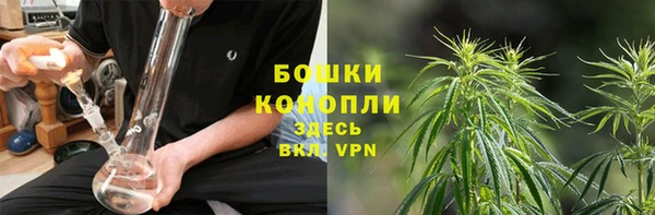 мяу мяу мука Заводоуковск