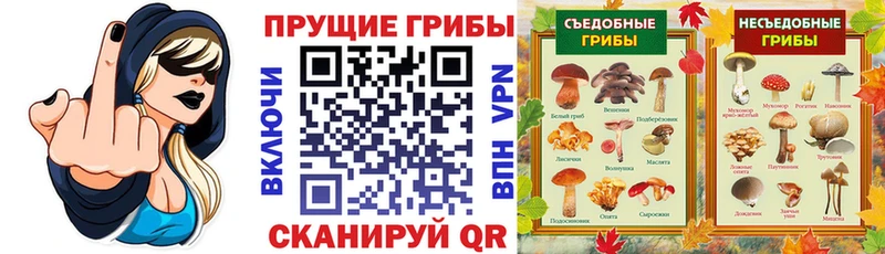 купить   Новый Уренгой  Псилоцибиновые грибы прущие грибы 