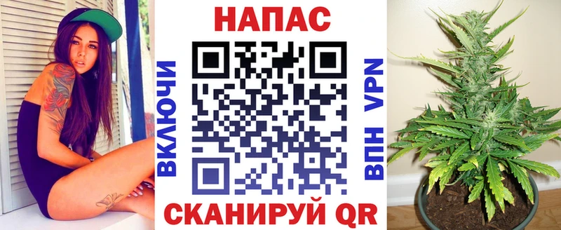 Каннабис Amnesia  ссылка на мегу зеркало  Новый Уренгой 